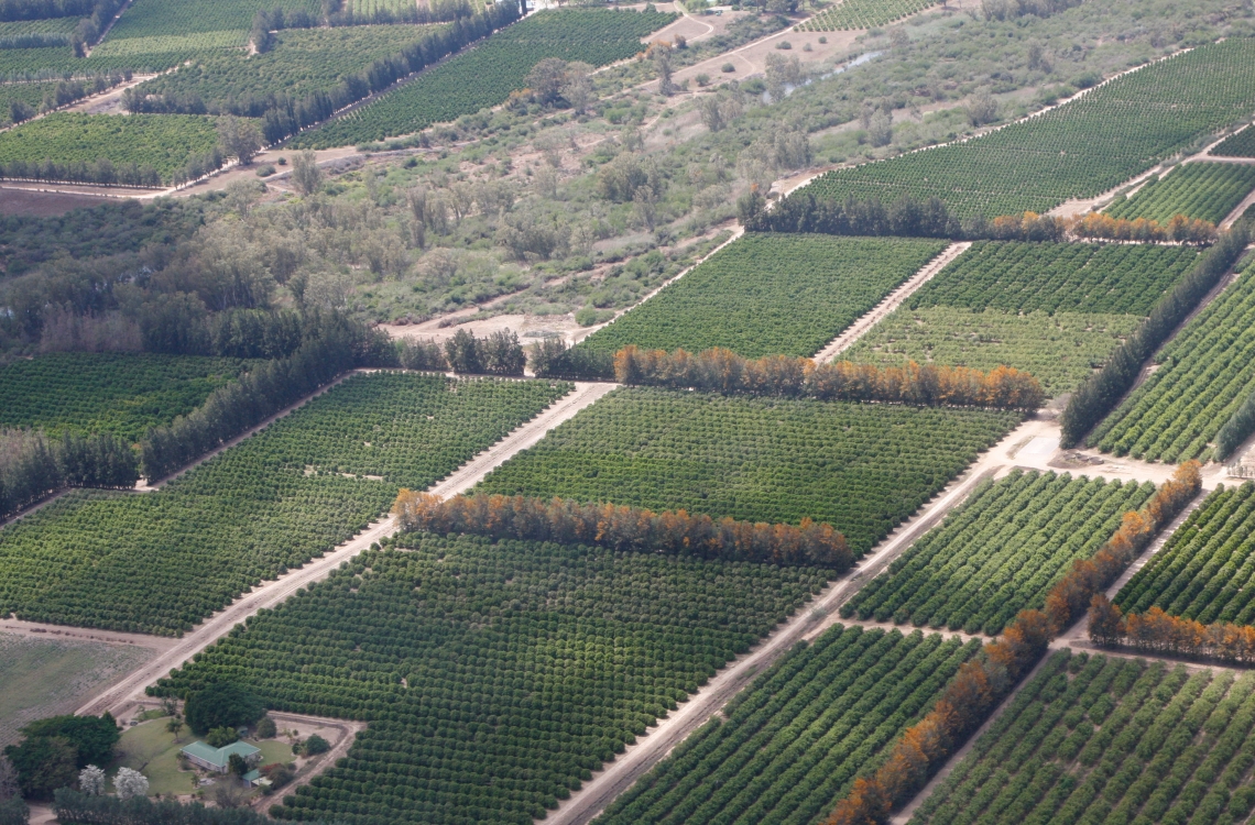 The wine lands