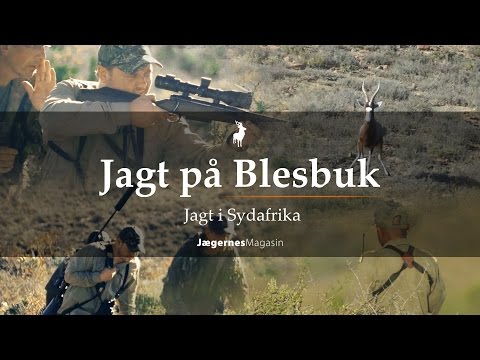 JAGT PÅ BLESBUK